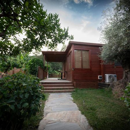El Jardin Del Eden Villa Orgiva Ngoại thất bức ảnh